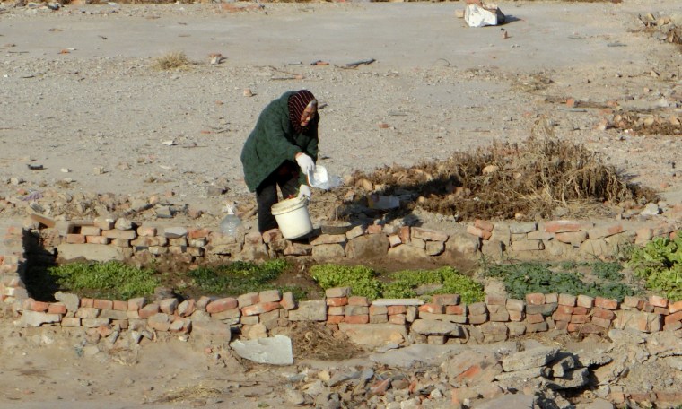 Where there were once ancient ruins discovered in the 70's and 80's now families plant urban gardens.