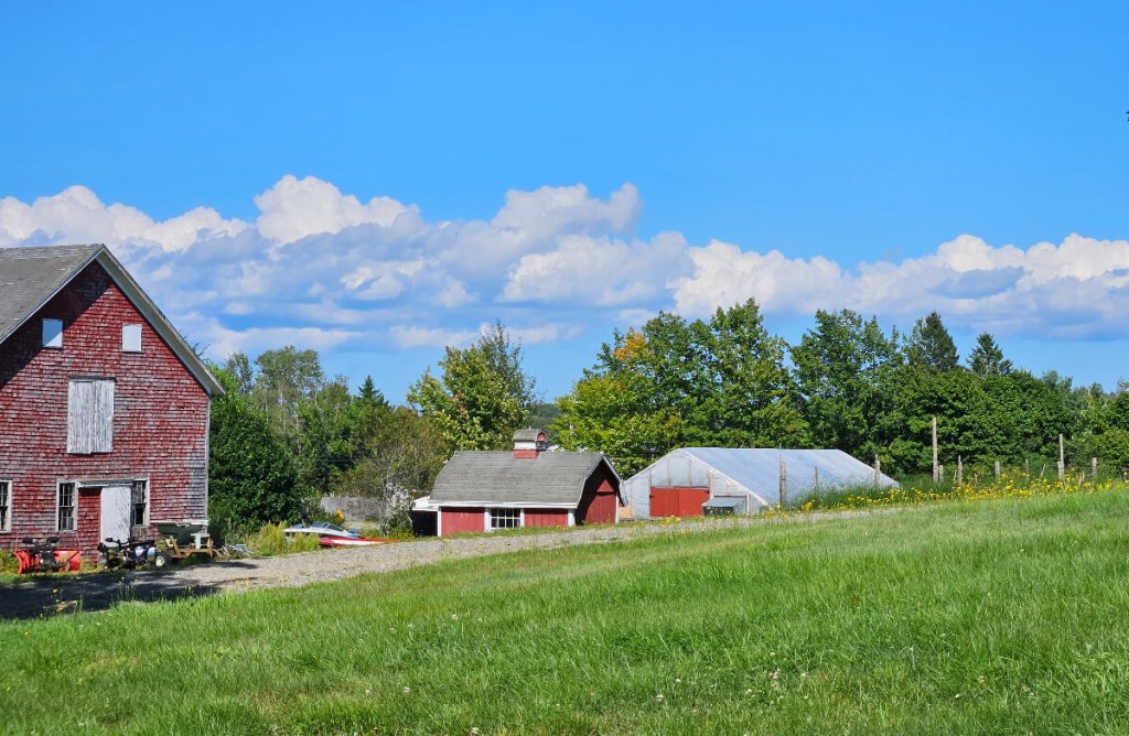 A weather burgandy farm house next to a small red barn style chicken coop. The sky is a vibrant blue with fluffy white clouds that contrast the bright green grass.