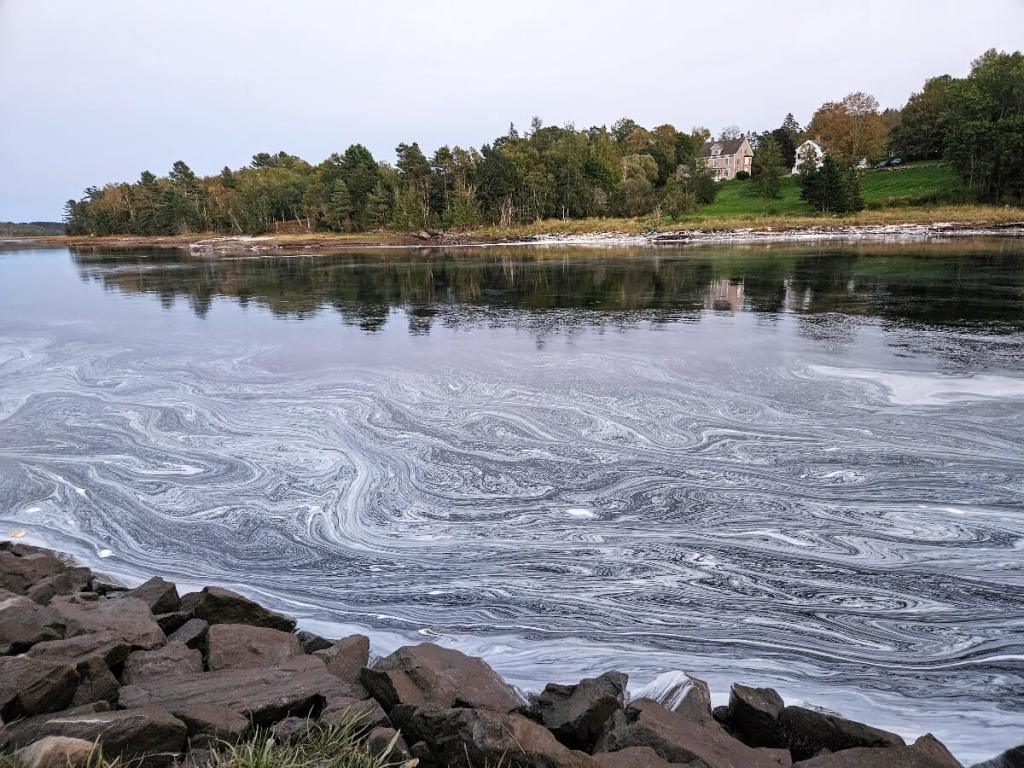 A wide river with swirls of foam moves past a series of small house on lush green land.