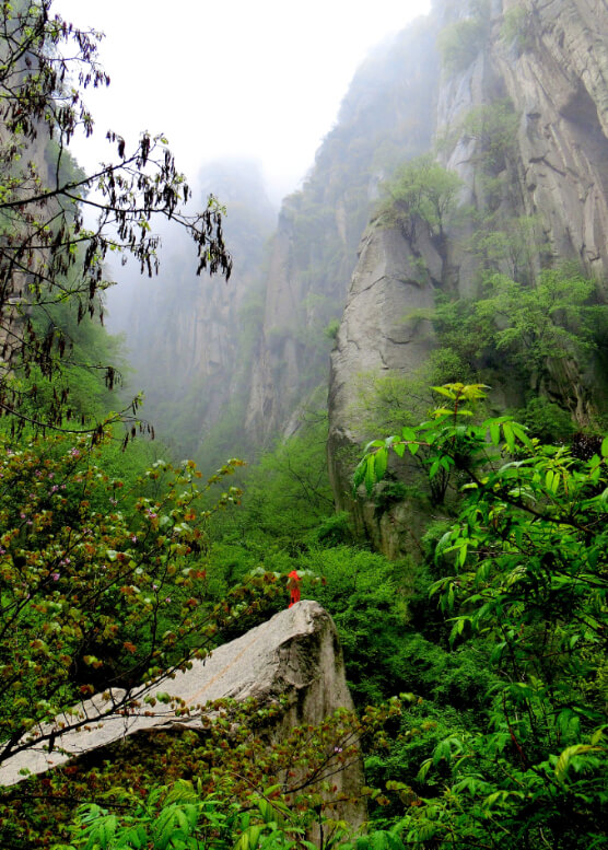 Sharp mountains reach toward a gray sky. Bright green foliage grow around stones.